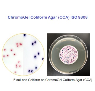 ChromoGel™ Coliform Agar (CCA)