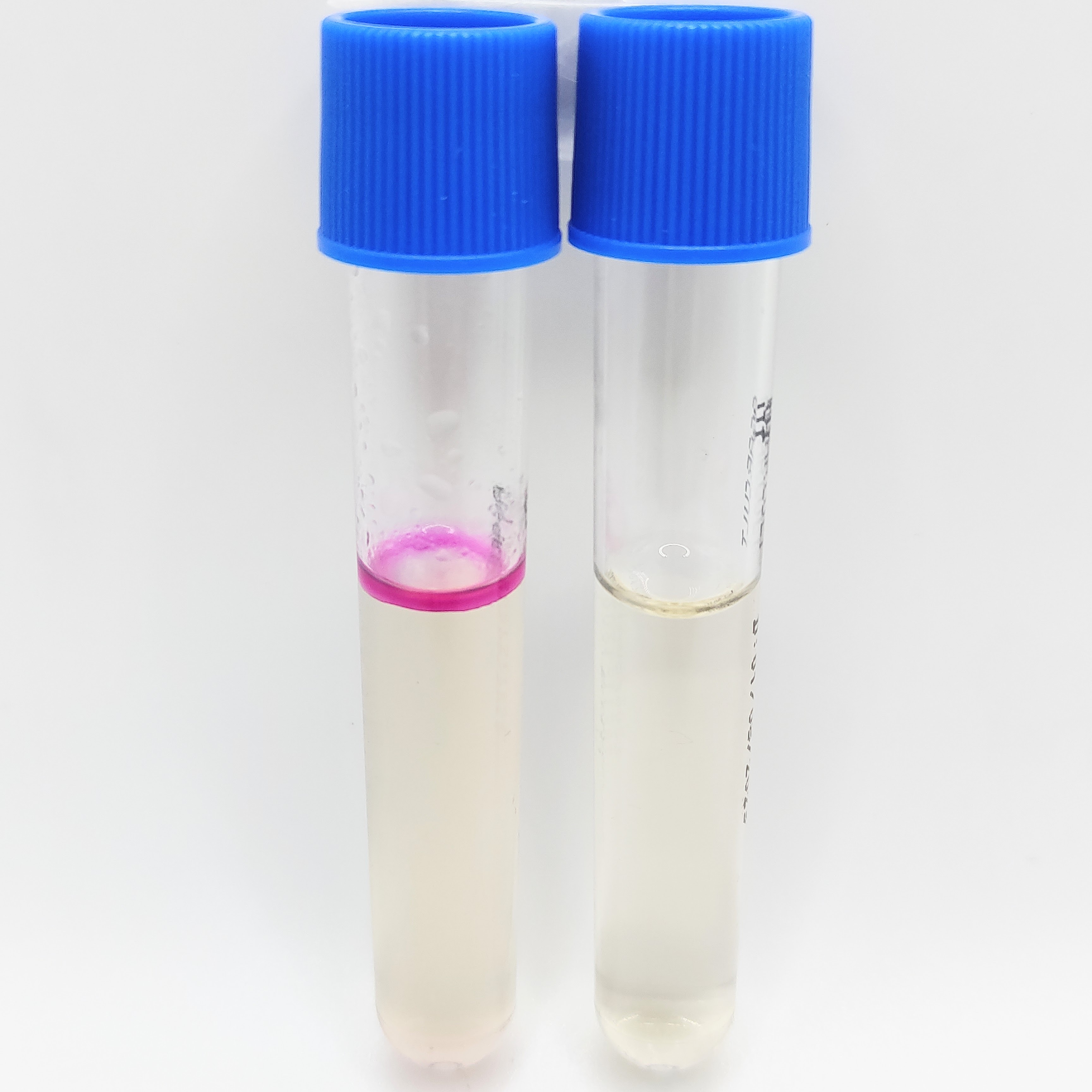 Môi trường vi sinh ống dinh dưỡng cơ bản 3ml, 50 ống/Hộp