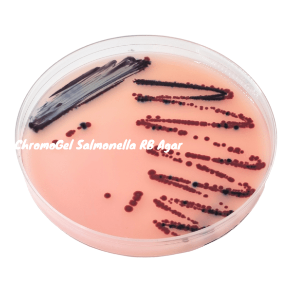 Môi trường vi sinh ChromoGel Salmonella RB Agar 500g/Chai